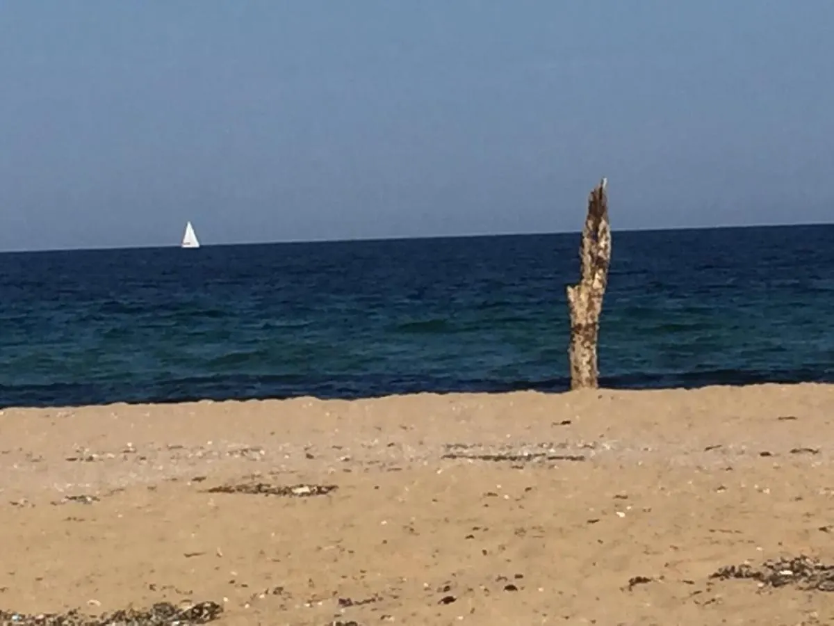 شقة Panorama Bay سوزوبول 0*,